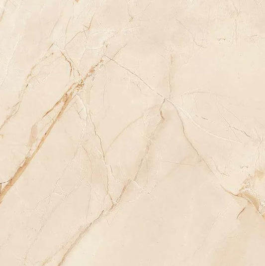 1053 – 600 X 600mm Glossy Porcelain Tile