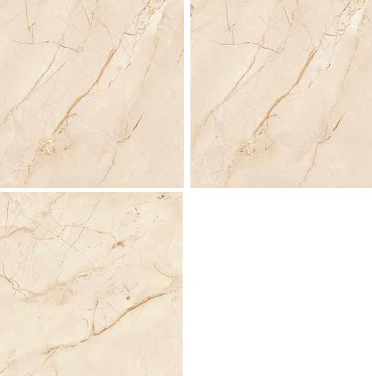 1053 – 600 X 600mm Glossy Porcelain Tile